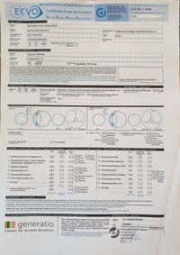 Augenuntersuchung Auri 25 Juni 2024