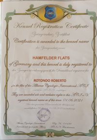 Hamfelder Flats Kennel Registration Zertifikat 2021