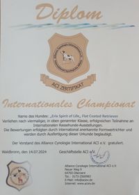 Internationales Championat 14 Juli 2024