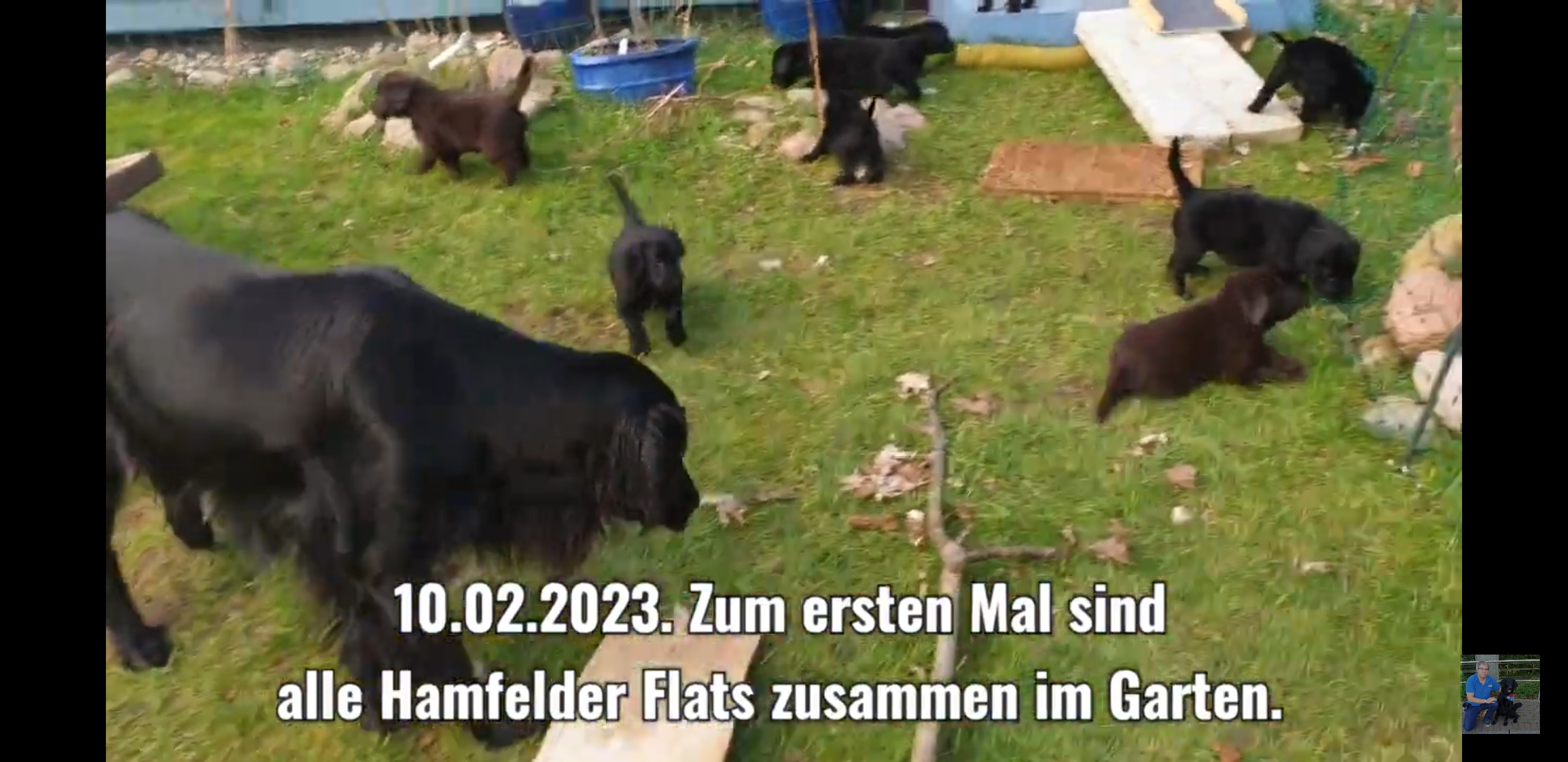 Screenshot_20230210-232438_YouTube.jpg