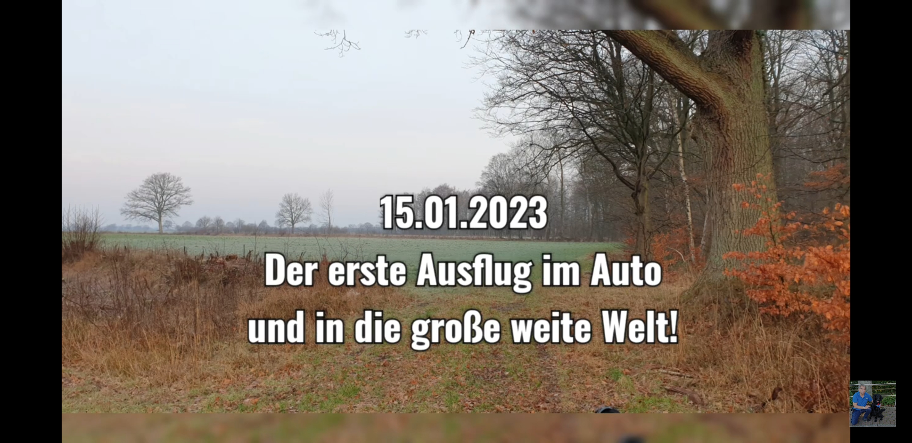 Screenshot_20230216-101709_YouTube.jpg