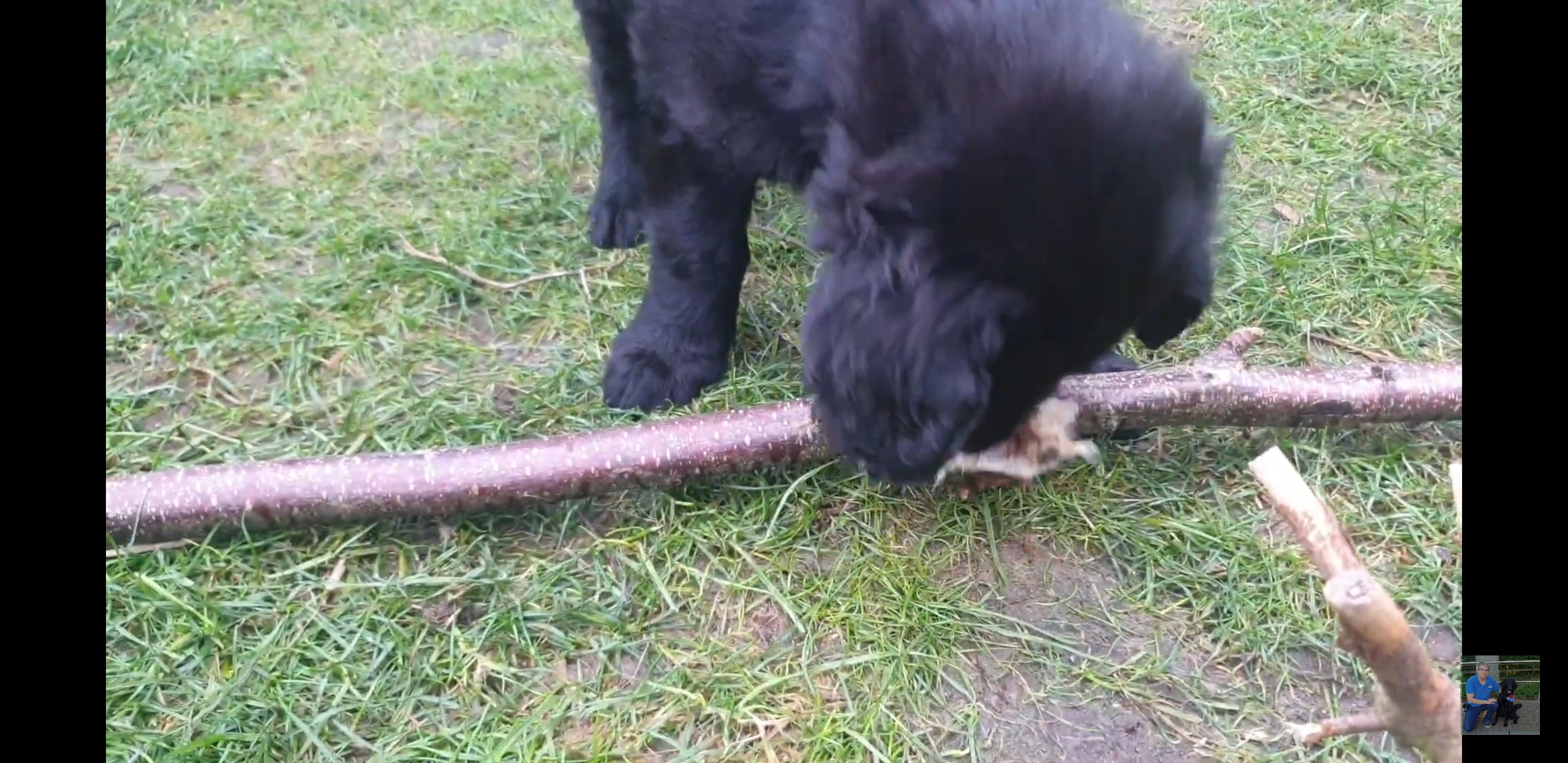 Screenshot_20230221-064212_YouTube.jpg